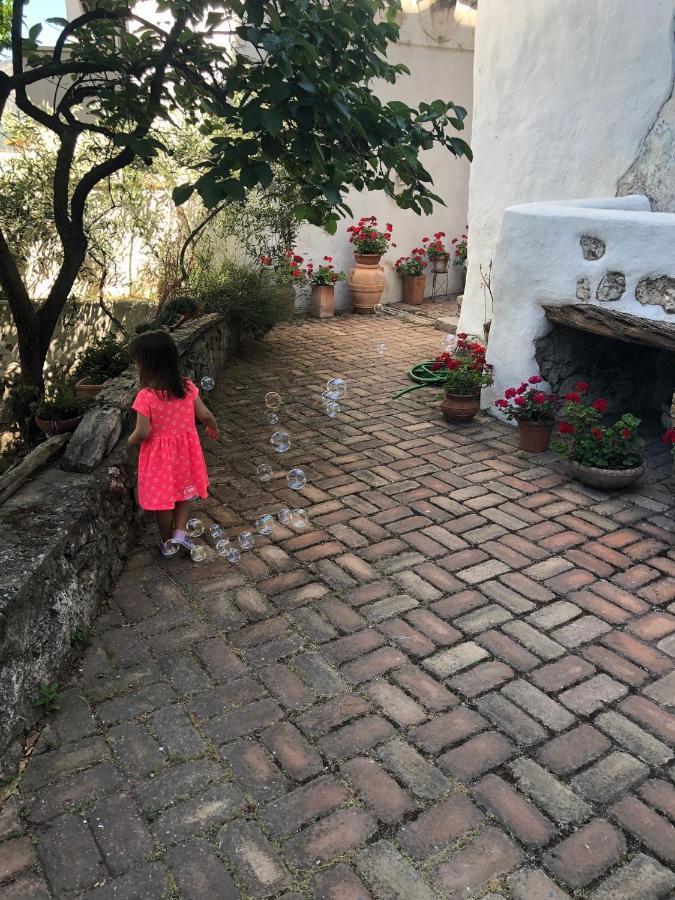 B&B Corte San Lussorio オリエーナ エクステリア 写真