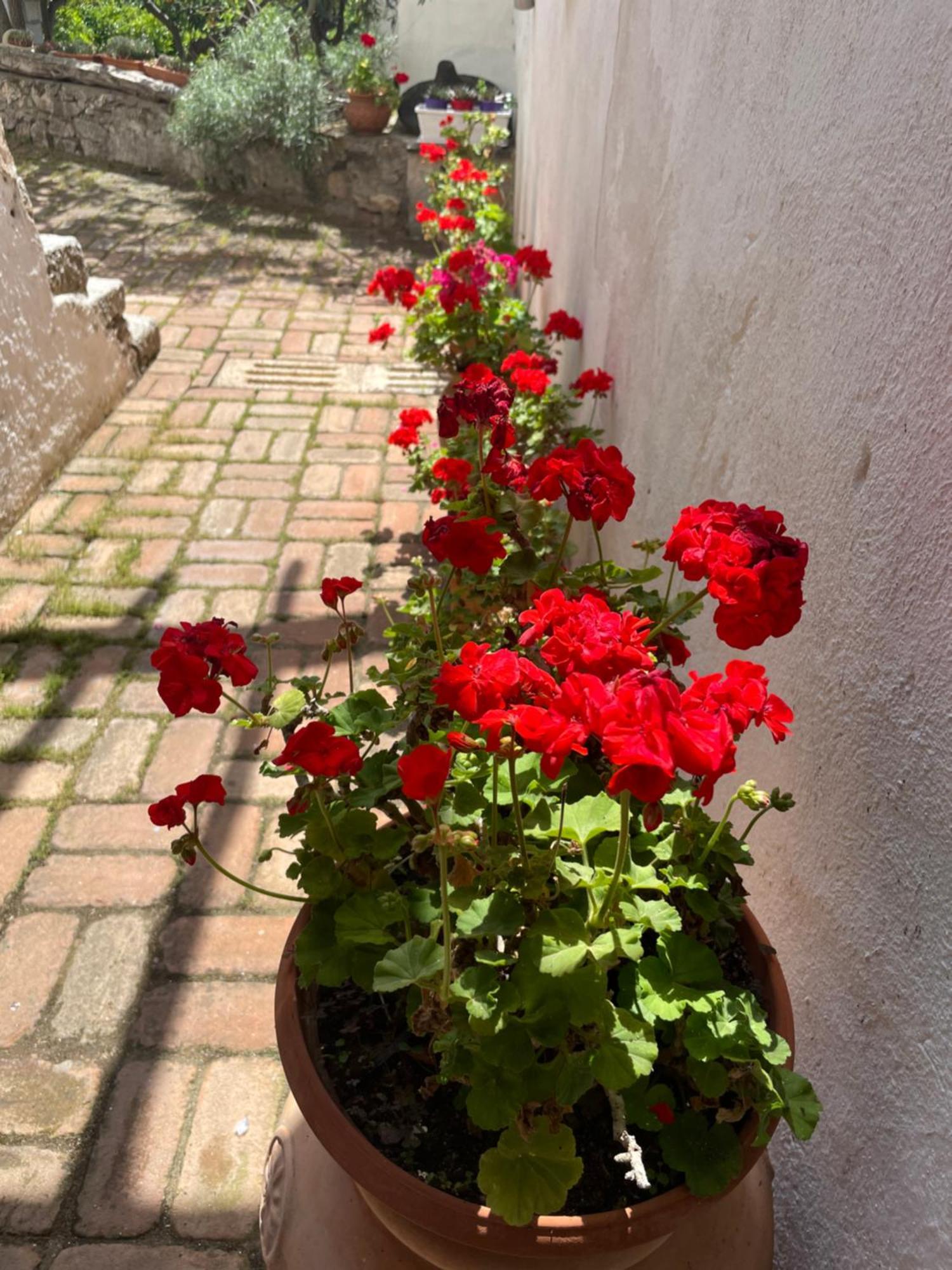 B&B Corte San Lussorio オリエーナ エクステリア 写真